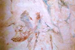 Detail - Oil on Plaster on Wall - Öl auf Putz auf Mauer